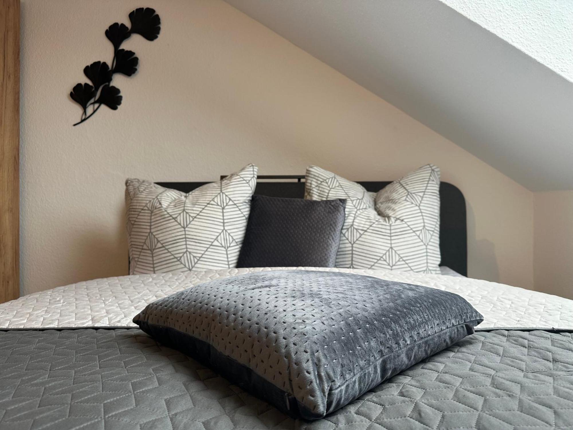 Ferienwohnung Zeitz - Weisse Elster Apartment Экстерьер фото